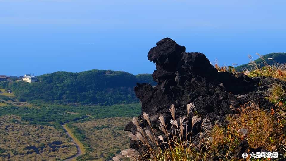 三原山 ゴジラ岩
