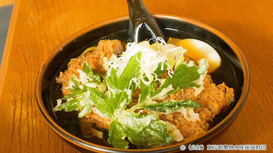 トンカツうどん