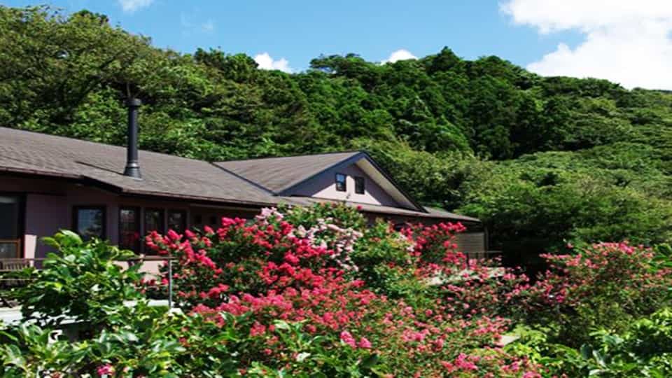 マシオ リゾート