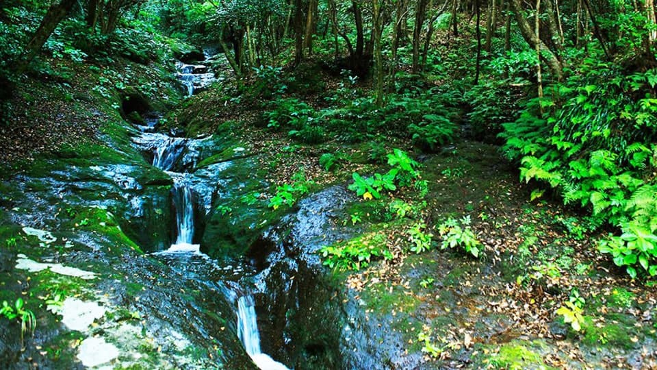 八丈島のポットホール（こん沢林道甌穴群）