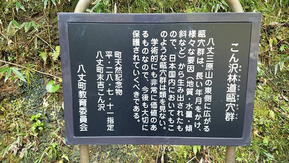 八丈町の天然記念物