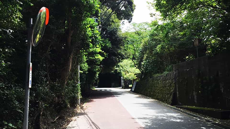 自転車でチャレンジ！伊豆大島一周