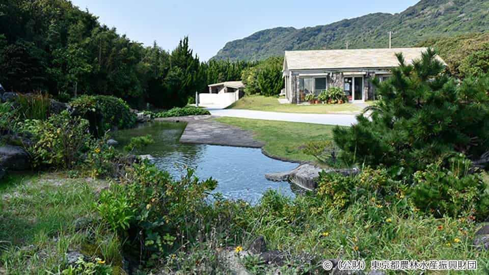 新島親水公園 れすとはうす みんと