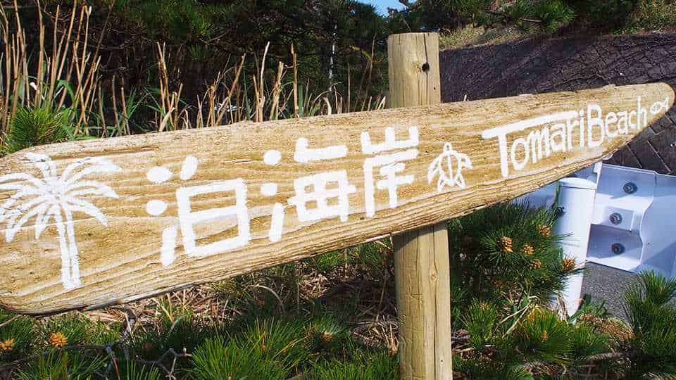 泊海水浴場