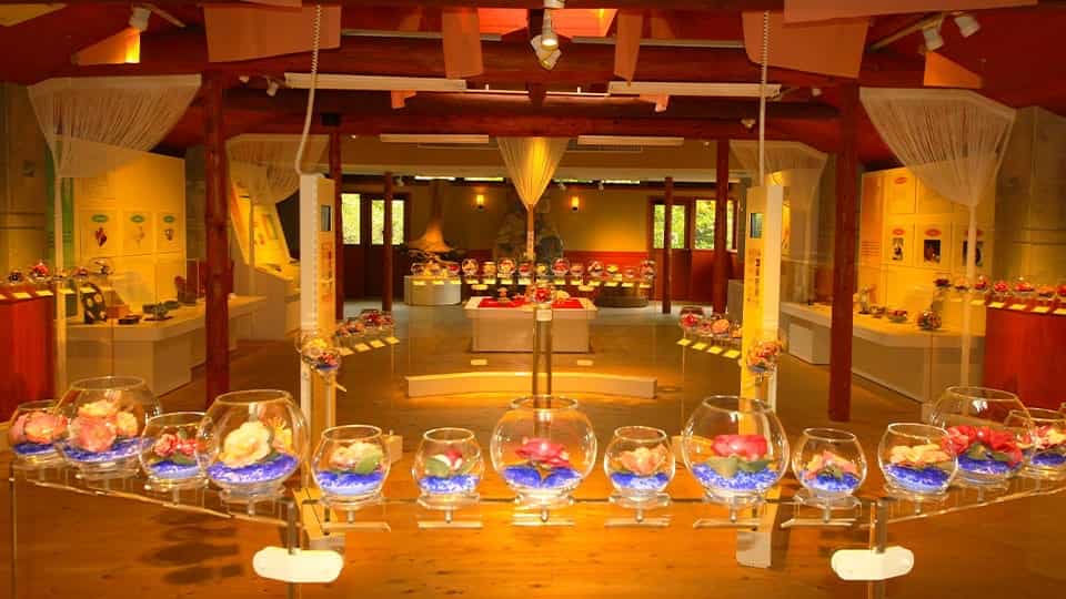 都立大島公園 椿資料館