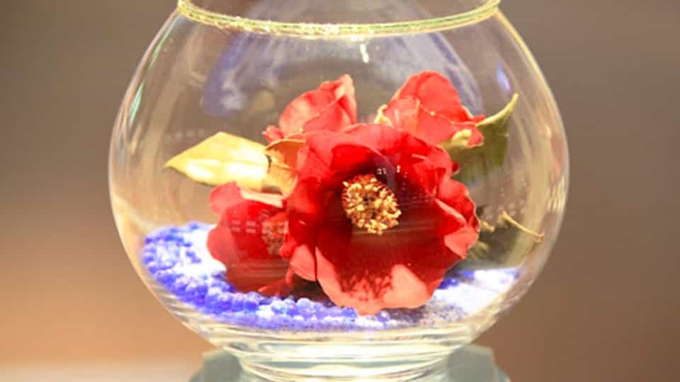 都立大島公園（椿園・椿資料館・動物園）