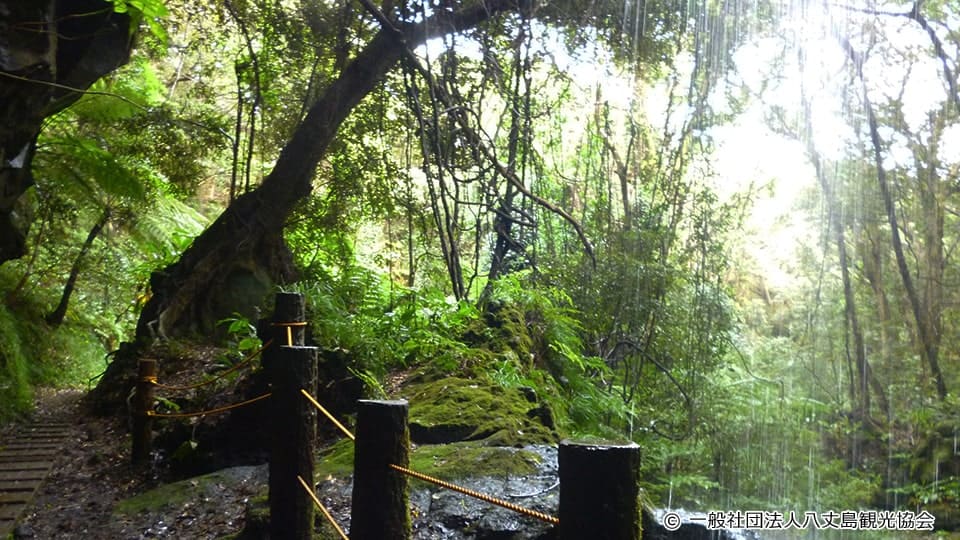 八丈島の裏見ヶ滝