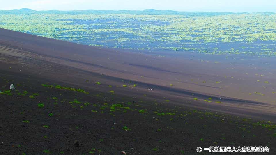 ロケ地としても人気の裏砂漠