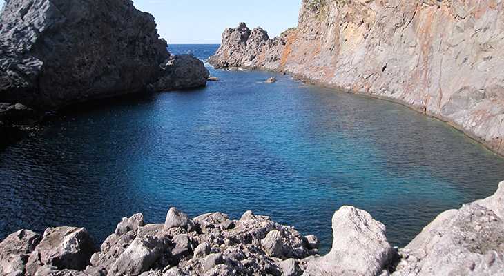 神津島の千両池