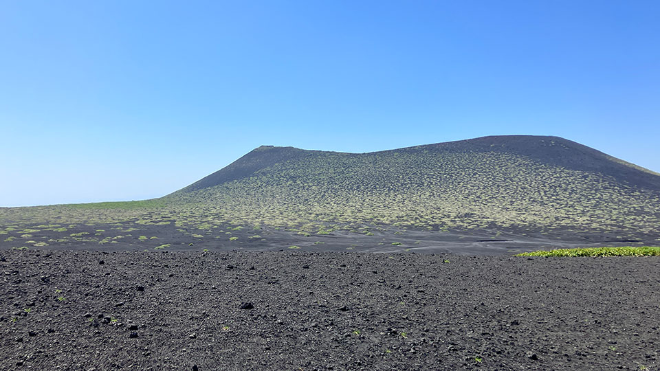 伊豆大島の島内観光オプションの画像