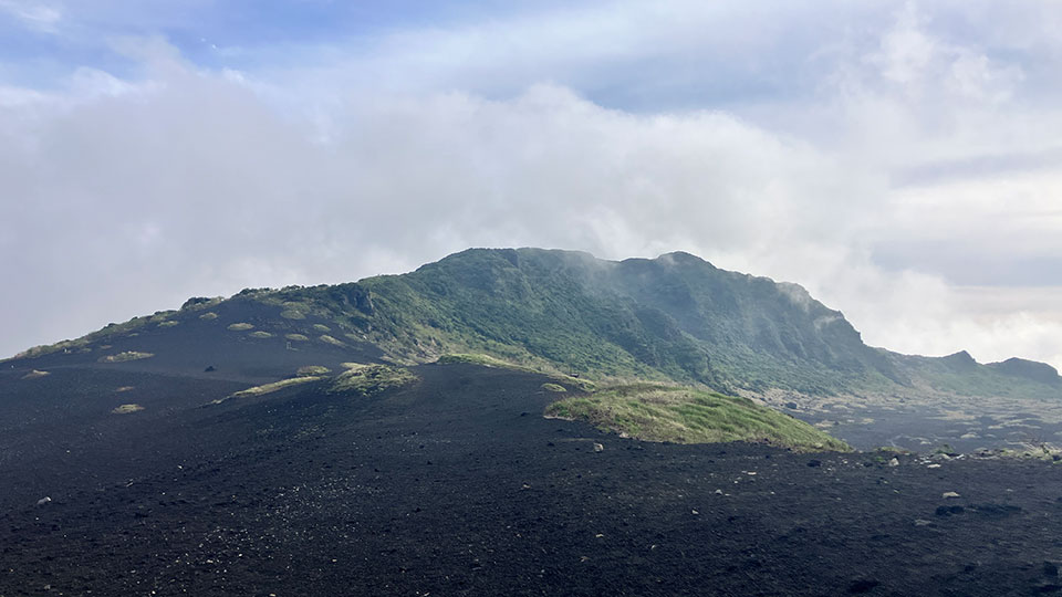 伊豆大島の島内観光オプションの画像