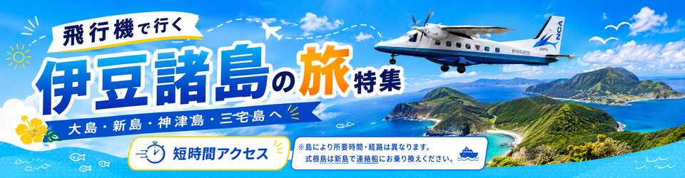 伊豆諸島　飛行機特集