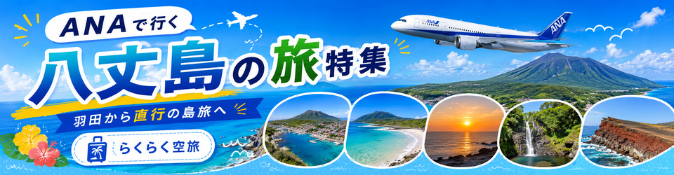 八丈島 飛行機特集