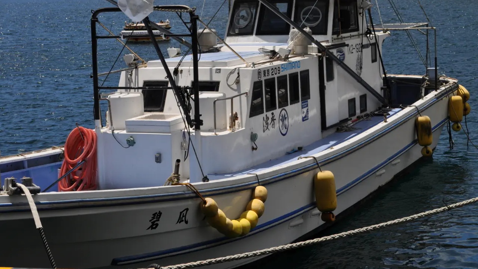 伊豆大島 船釣りオプションの画像