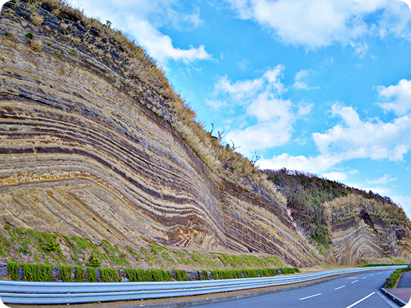 伊豆大島 地層切断面