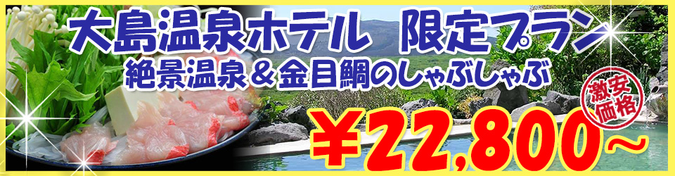 伊豆大島ツアー 期間限定 伊豆大島セール！