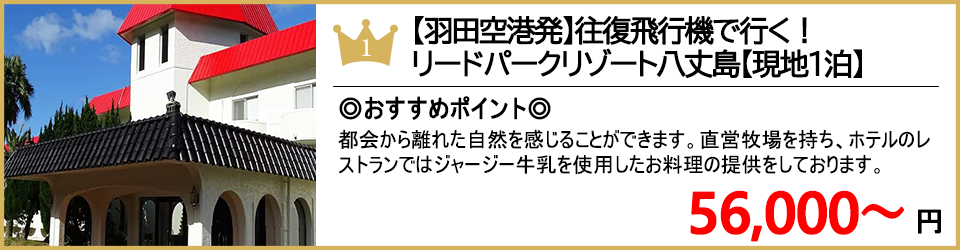 八丈島ツアー 八丈島旅行 ランキング1位 リードパークリゾート八丈島