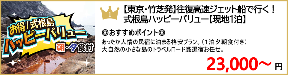 式根島ツアー 式根島旅行 ランキング1位 ハッピーバリュー