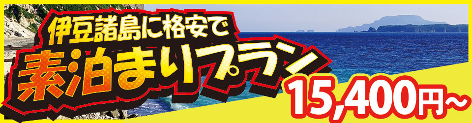 式根島ツアー 素泊まり特集