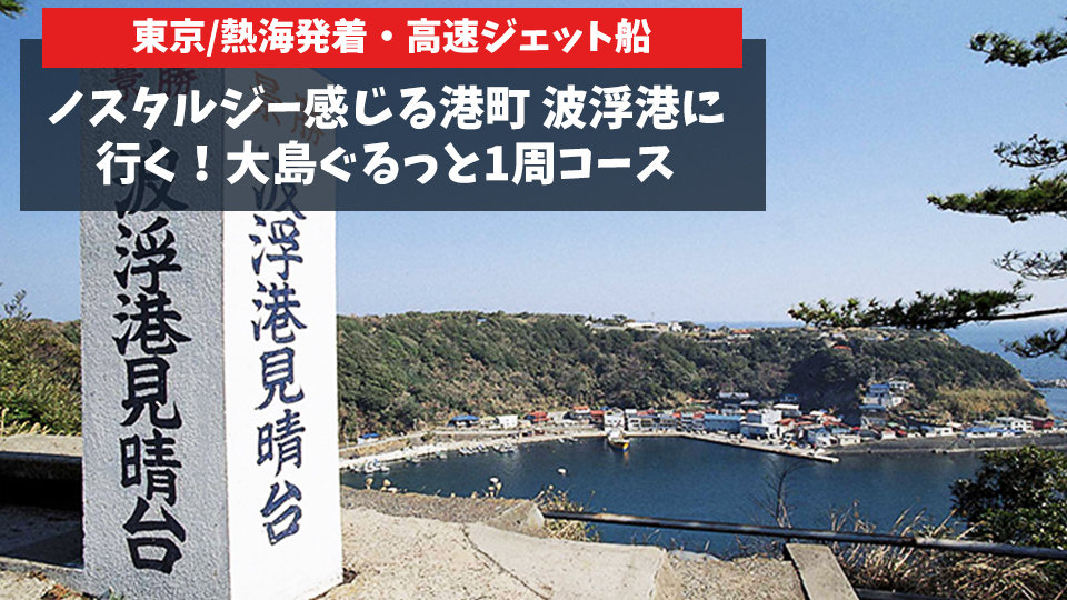 東海汽船日帰り「大島ぐるっと」