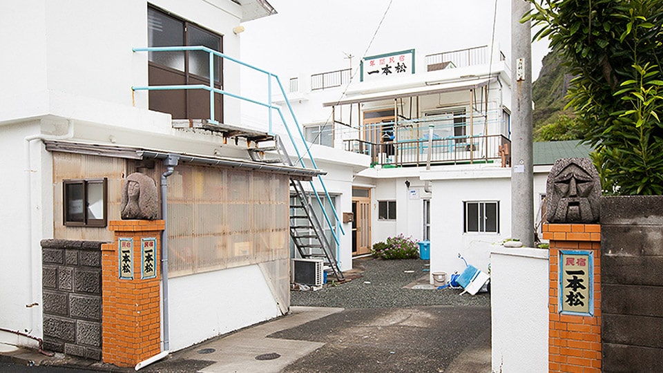 式根島の一本松の外観