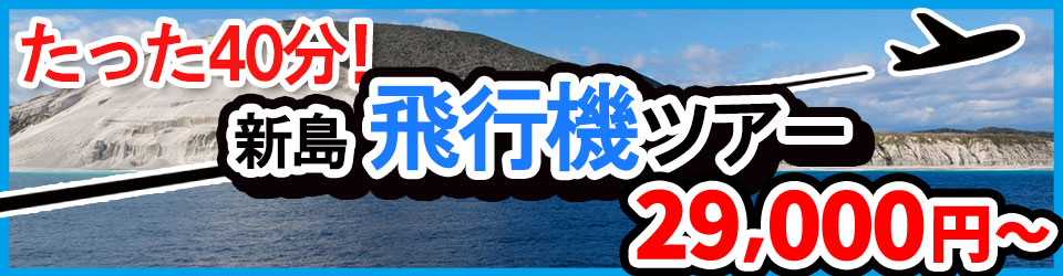 新島ツアー 飛行機で行く調布発ツアー