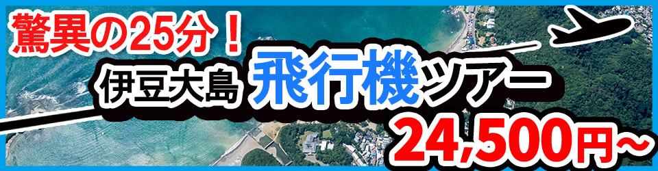 伊豆大島ツアー 飛行機で行く調布発ツアー