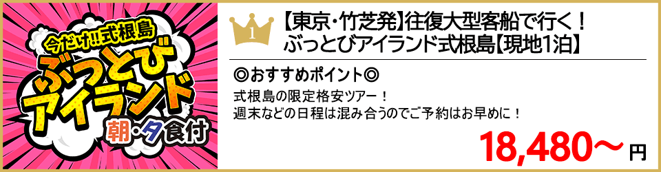 式根島ツアー 式根島旅行 ランキング1位 ぶっとびアイランド