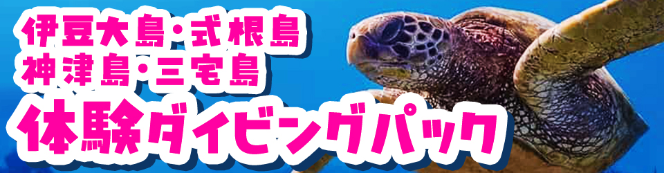 伊豆大島ツアー ダイビングパック特集