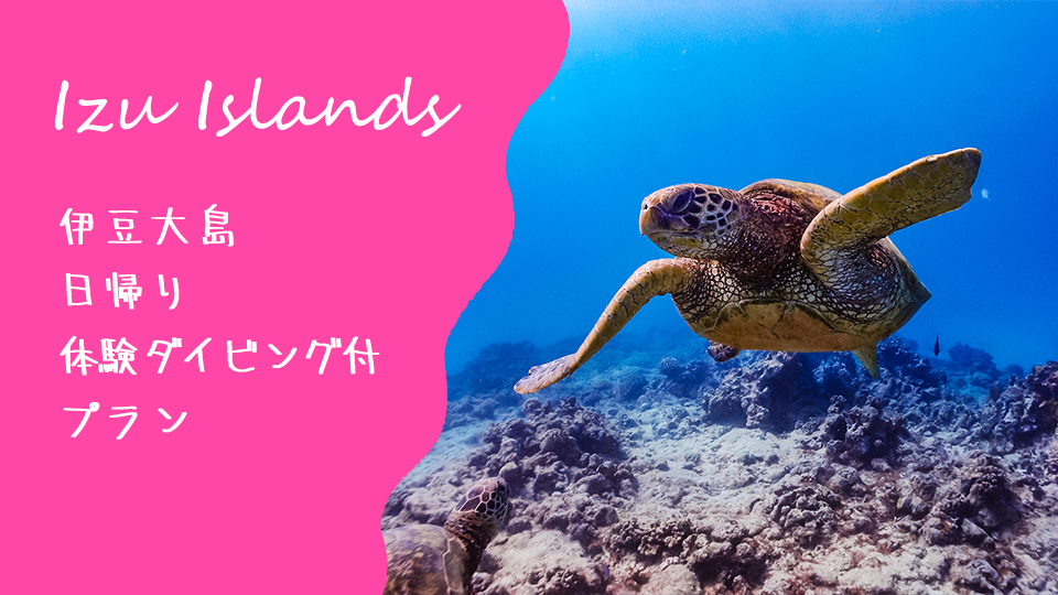 【伊豆大島】東京発着【ﾀﾞｲﾋﾞﾝｸﾞﾊﾟｯｸ】