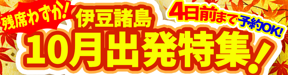 式根島ツアー10月出発ラストチャンス直前まで予約OK！ 式根島
