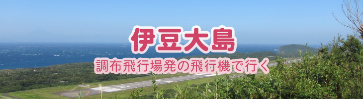 伊豆大島ツアー 調布飛行場発の飛行機で行く 伊豆諸島ツアー 伊豆七島ツアー トラベルロード