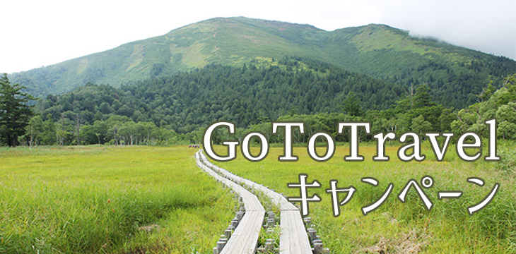 GoToTravel