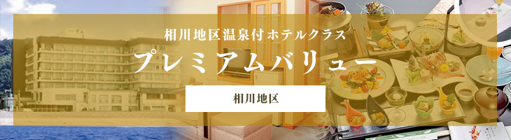 プレミアムバリュー