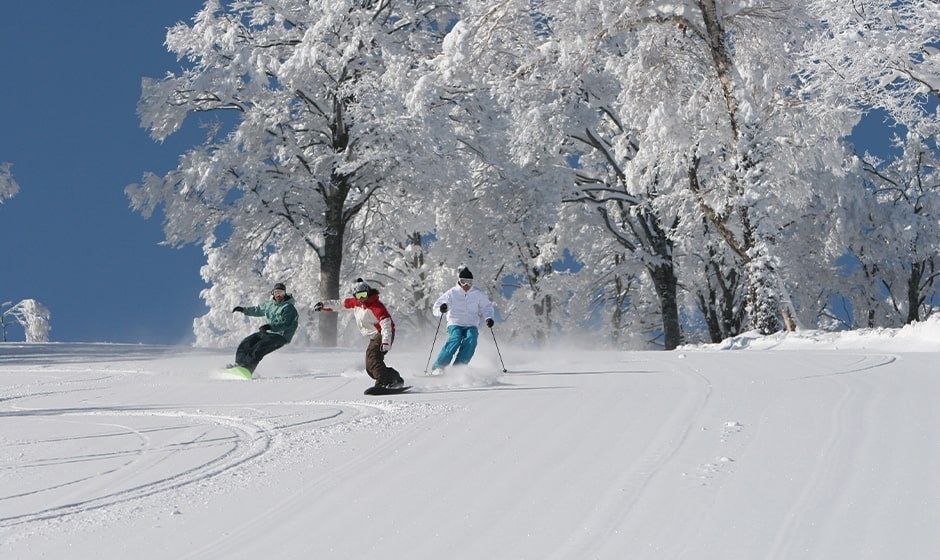 子供とパウダースノー体験 神奈川から行ける長野のファミリー向けおすすめのスキー場5選 Tabixia タビシア